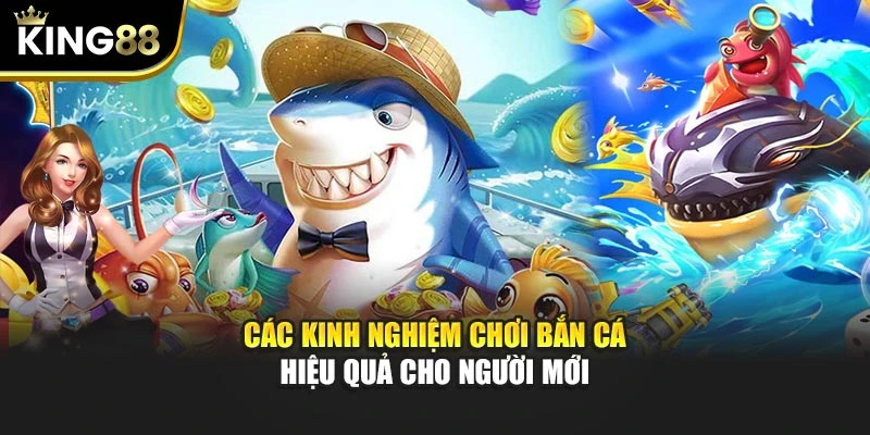 Các kinh nghiệm chơi bắn cá hiệu quả cho người mới